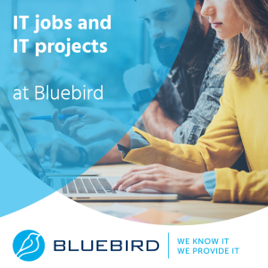 IT jobs and IT projects at Bluebird