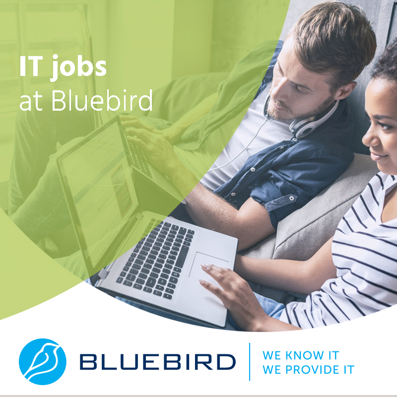 IT jobs at Bluebird - advertisement