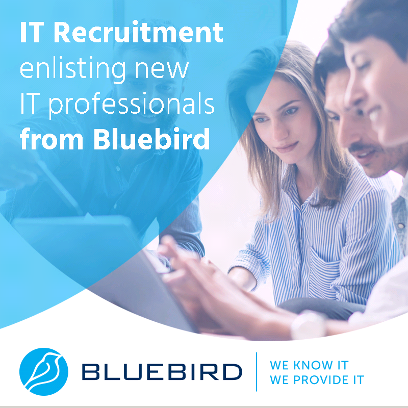 Bluebird IT Recruitment advertisement