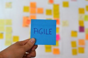 Agile methodology - Bluebird