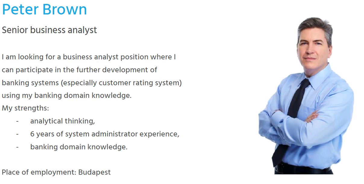 Resume sample - business analyst - Bluebird