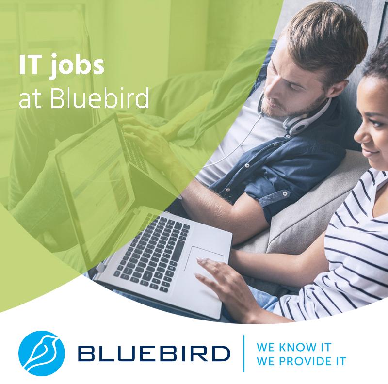 IT jobs at Bluebird
