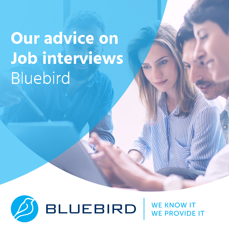 Our advice on Job interviews - Bluebird