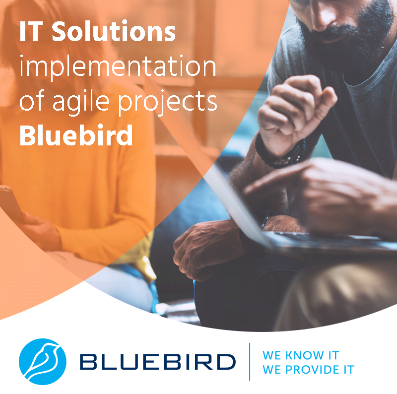 IT Solutions- implementation of agile projects - Bluebird