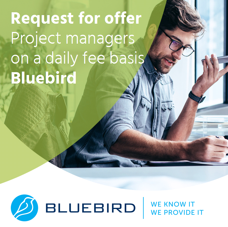 Project managers on a daily fee basis - Bluebird