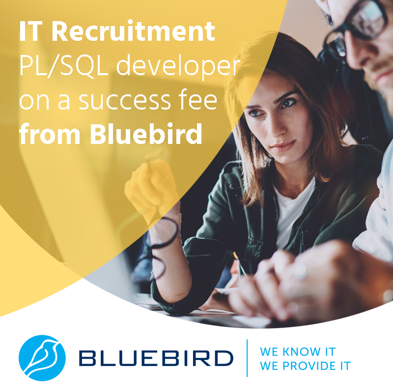 IT Recruitment - PL/SQL developer - Bluebird