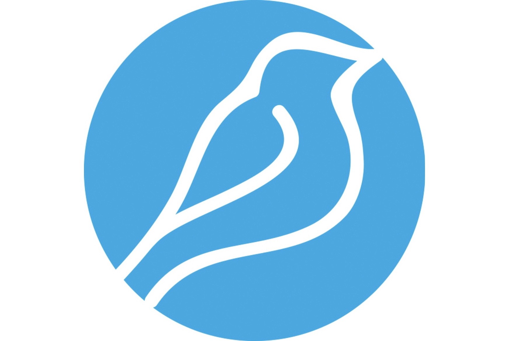 Bluebird - The IT Staff Augmentation Company