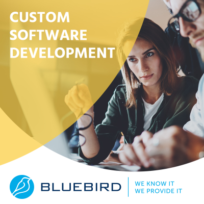 Custom Software Development - Bluebird
