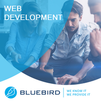 Web Development - Bluebird