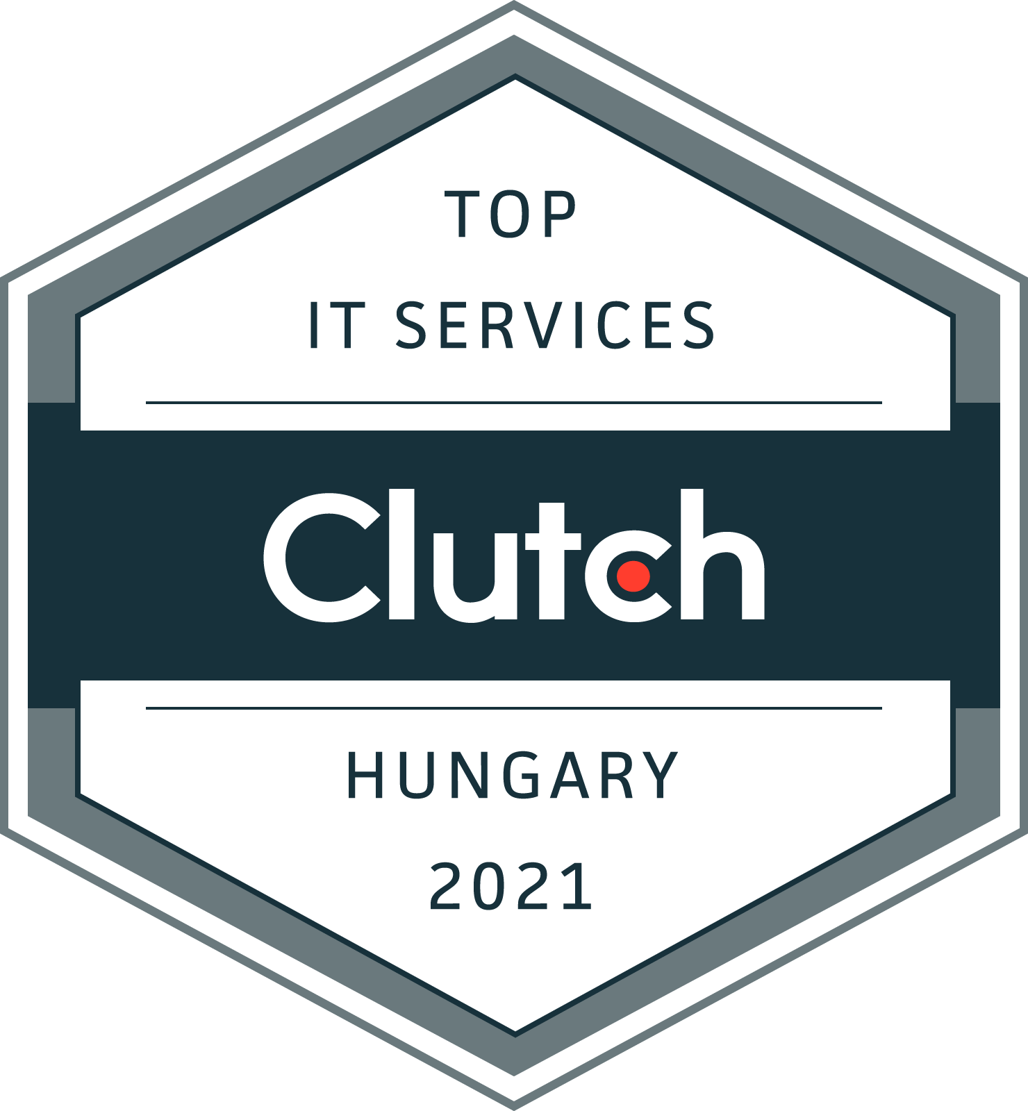 Top IT Services - Hungary - Bluebird