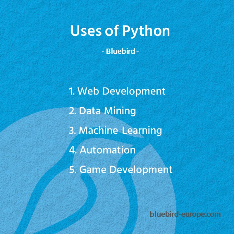 Uses of Python - Bluebird Blog