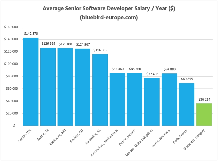 Hungary IT Outsourcing - Senior Software Developers - Bluebird Blog